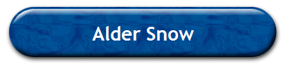 Alder Snow