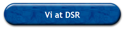 Vi at DSR