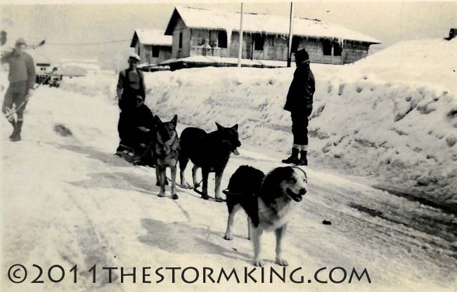 1938 Truckee Dog Sled mutts