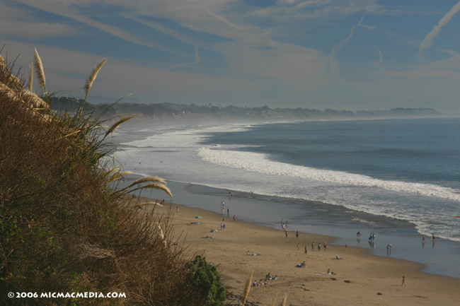 Nugget #50 Santa Cruz climate ID 600 Nugget #50 Santa Cruz climate ID 600