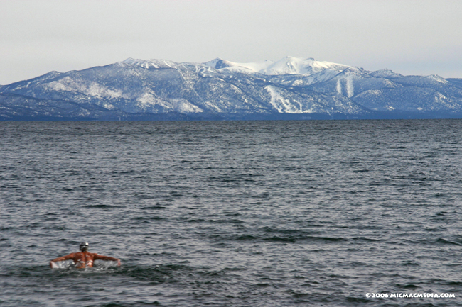 Nugget #54 F solo swimmer Nugget #54 F solo swimmer