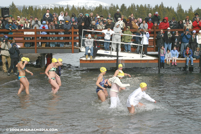 Nugget #54 Polar Swim 1 A ID 600 Nugget #54 Polar Swim 1 A ID 600