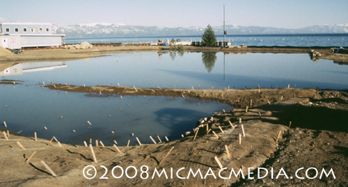 Nugget #150 F 1997 C Bay wetland restoration project Nugget #150 F 1997 C Bay wetland restoration project