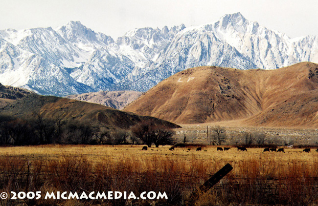 Nugget #16 Lone Pine ID and resized Nugget #16 Lone Pine ID and resized