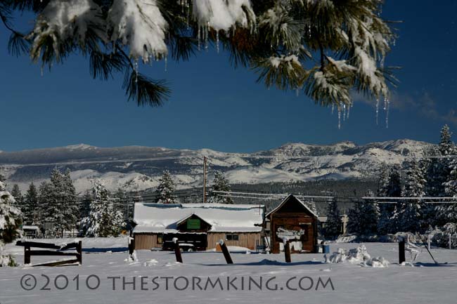 Nugget #194 Winter scene east Mt Rose Nugget #194 Winter scene east Mt Rose