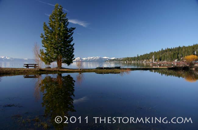 Nugget #206 High Water Reflection