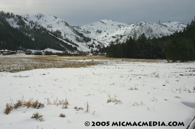 Nugget #32 Squaw Valley snowpack ID and resized Nugget #32 Squaw Valley snowpack ID and resized