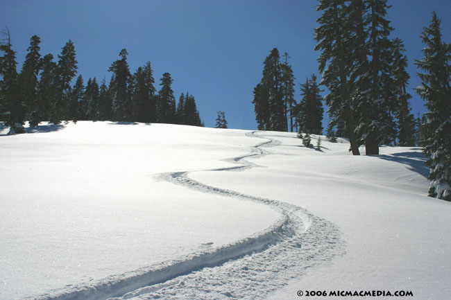 Nugget #56 A Powder tracks Homewood 3-0604 Nugget #56 A Powder tracks Homewood 3-0604