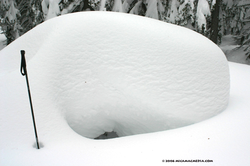 Nugget #61 A Tree buried in snow Nugget #61 A Tree buried in snow