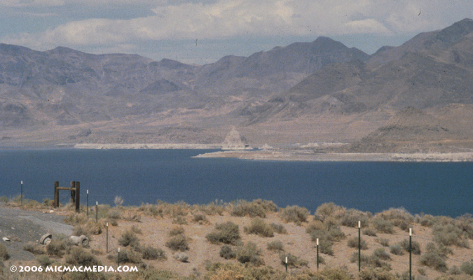 Nugget #62 C Pyramid Lake ID Nugget #62 C Pyramid Lake ID