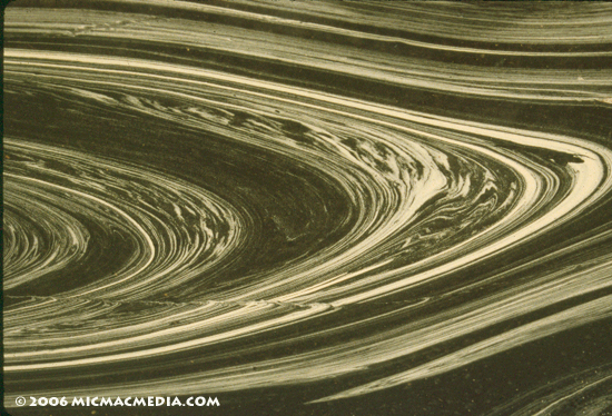 Nugget #79 B Pollen Rings.jpg redone Nugget #79 B Pollen Rings.jpg redone