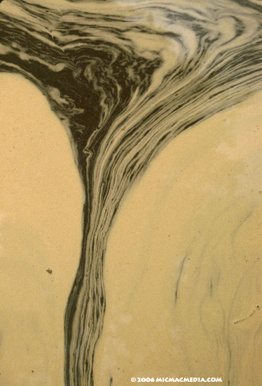 Nugget #79 D Pollen tornado Nugget #79 D Pollen tornado