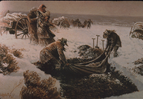 Nugget #81 B Handcart 2 Nugget #81 B Handcart 2
