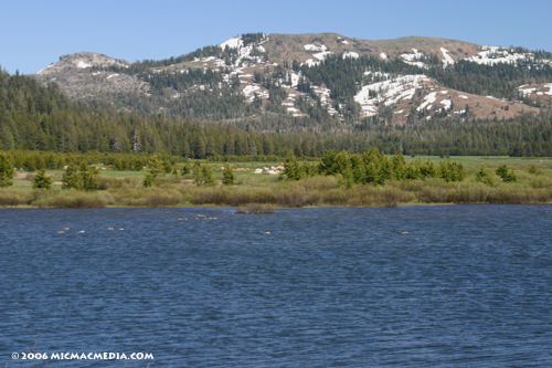 Nugget #85 A Lake Van Norden Donner Peak Nugget #85 A Lake Van Norden Donner Peak