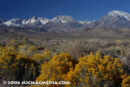 Nugget #97 A Eastern Sierra Nugget #97 A Eastern Sierra